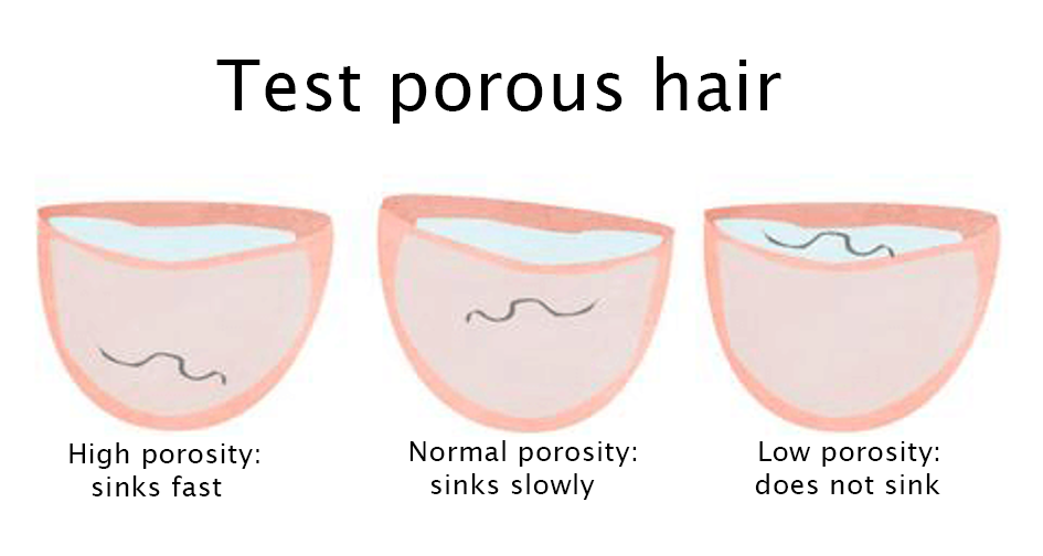 What is porous hair? WECOLOUR
